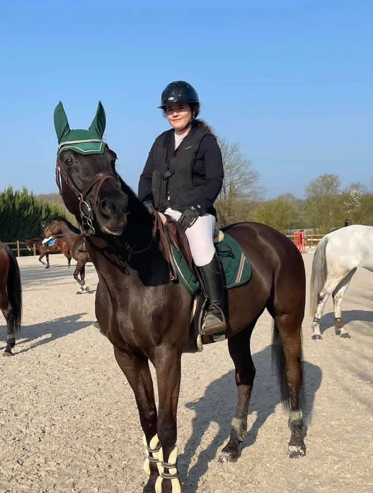 Broodmare Selle Fran&ccedil;ais For sale 2005 Black
