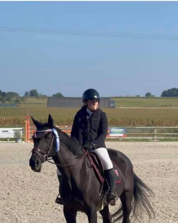 Broodmare Selle Fran&ccedil;ais For sale 2005 Black