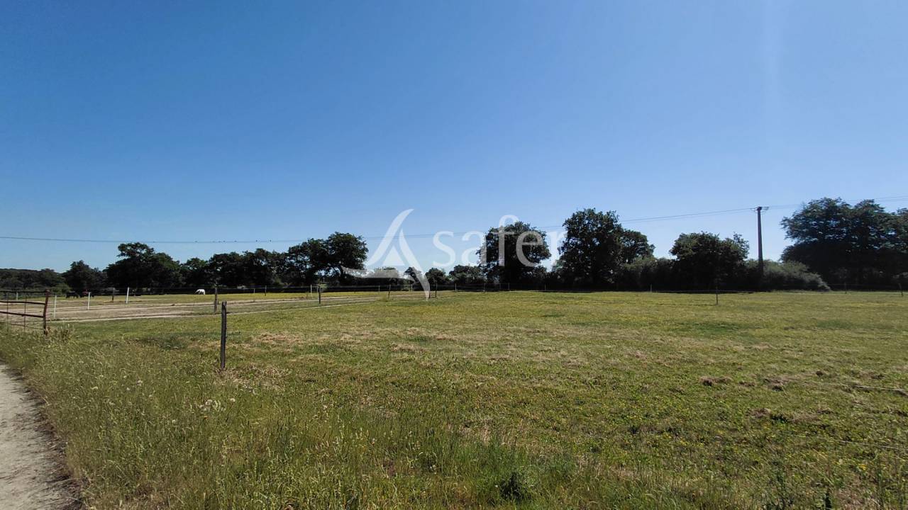 Equestrian property  Deux-S&egrave;vres