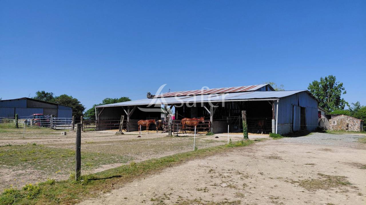 Equestrian property  Deux-S&egrave;vres