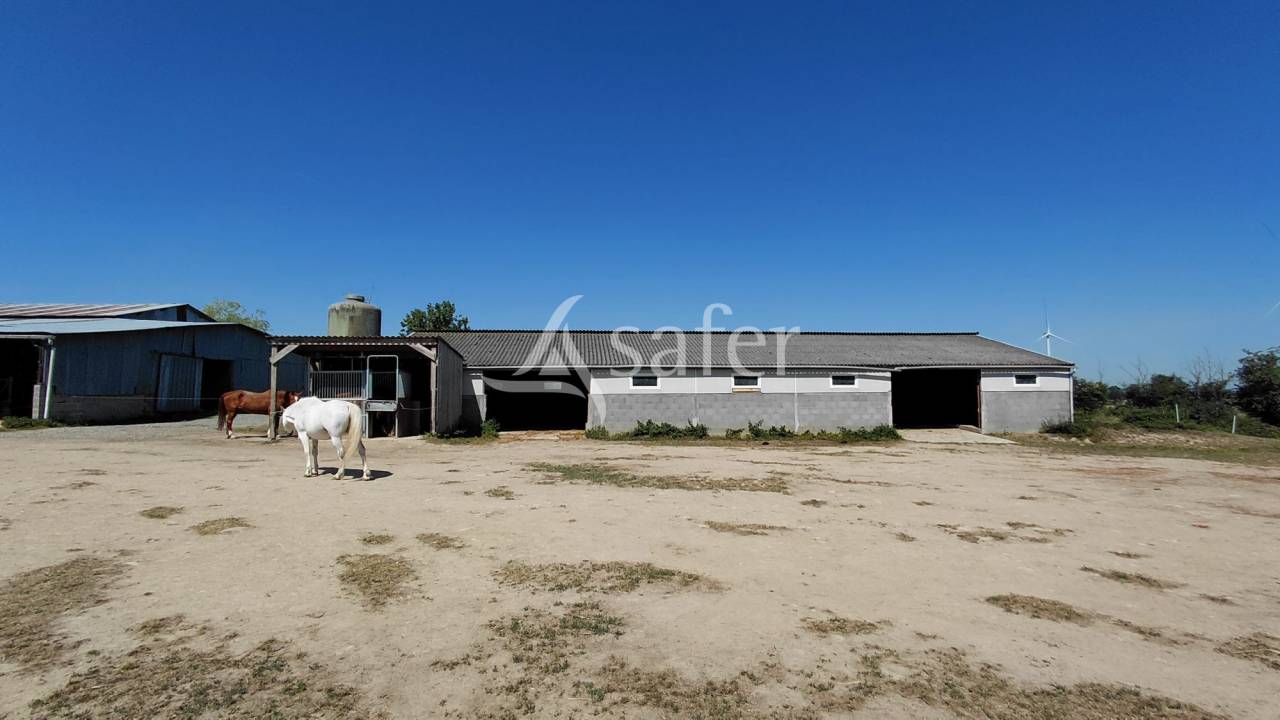 Equestrian property  Deux-S&egrave;vres