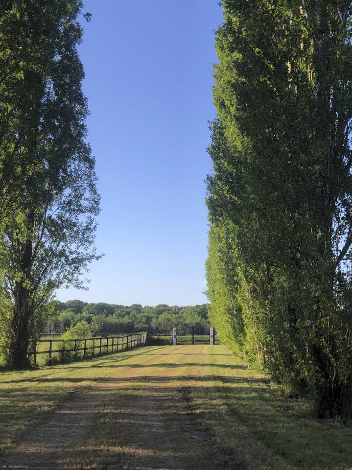 Luxurious equestrian property  Sa&ocirc;ne-et-Loire