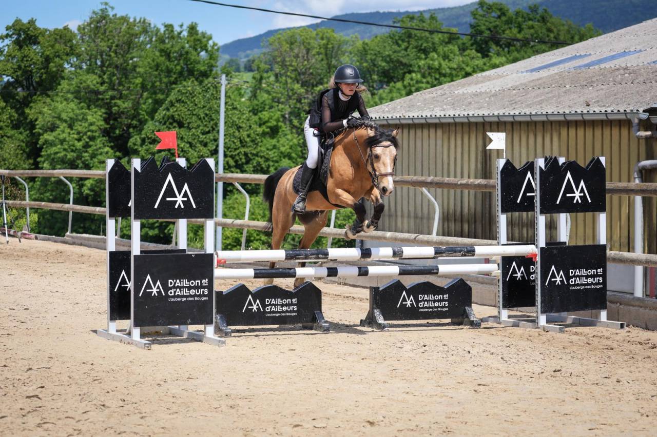Gelding Origin Recorded For sale 2020 Buckskin