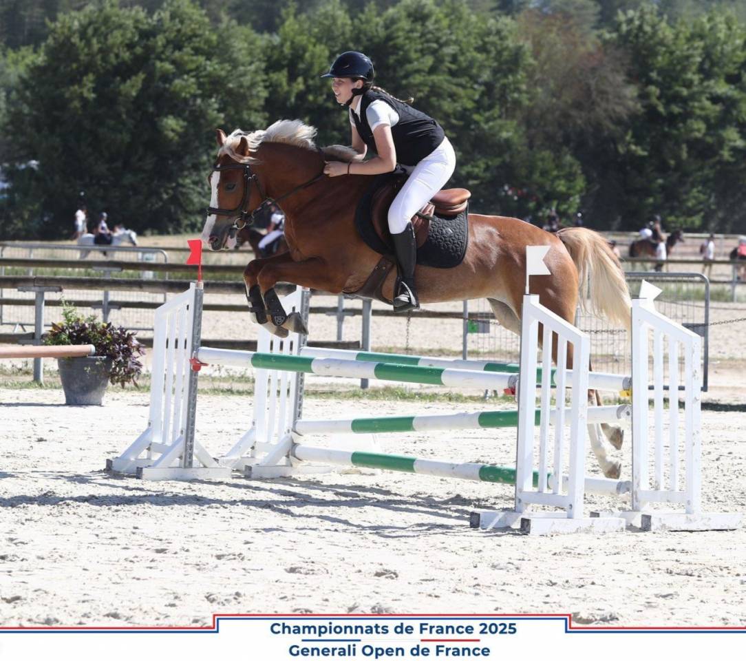 Gelding French Saddle Pony For sale 2020 Silver dapple