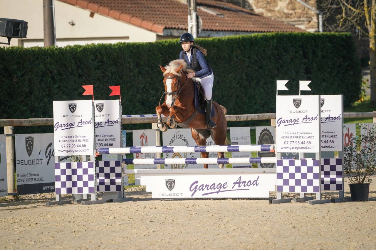 Gelding French Saddle Pony For sale 2020 Silver dapple