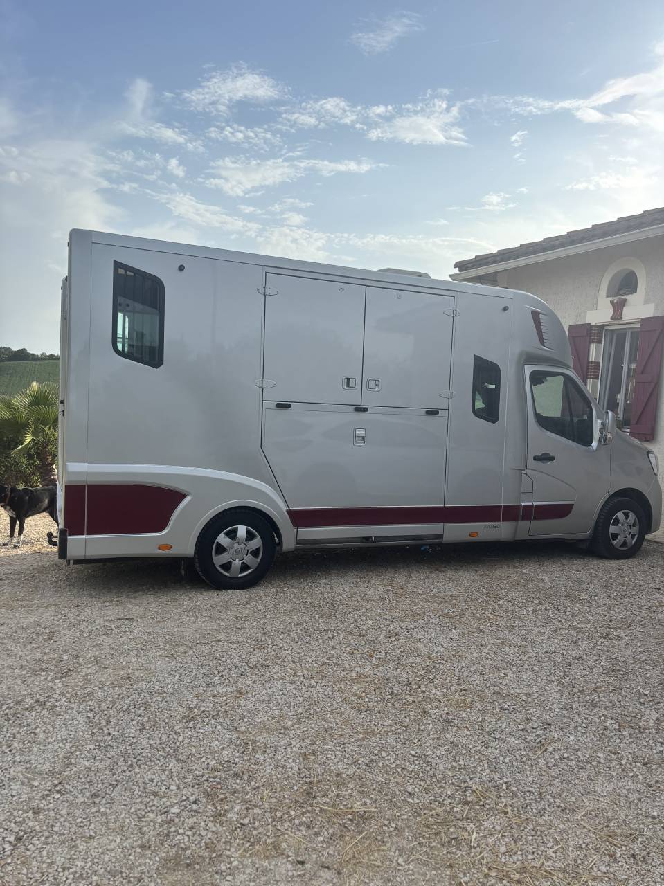 Horsebox HGV Theault Renault nv Master Pl cab. Grd Confort L3H1 Energy  2021 Used