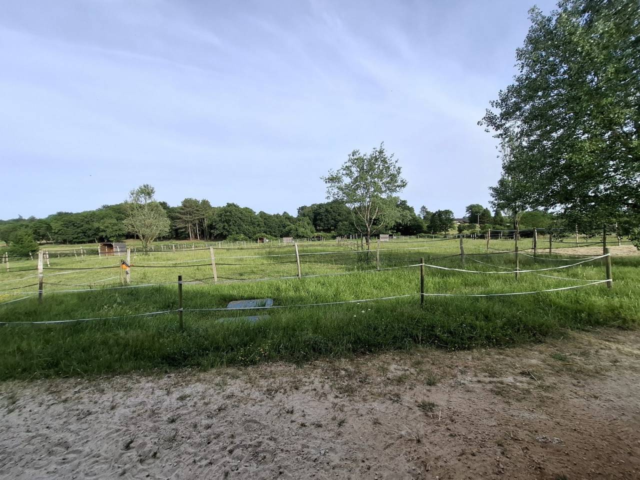 Equestrian Bed and Breakfast  Indre-et-Loire