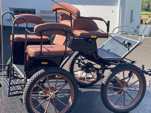 Carriage - Marathon for leisure Dominiak Training Poney 