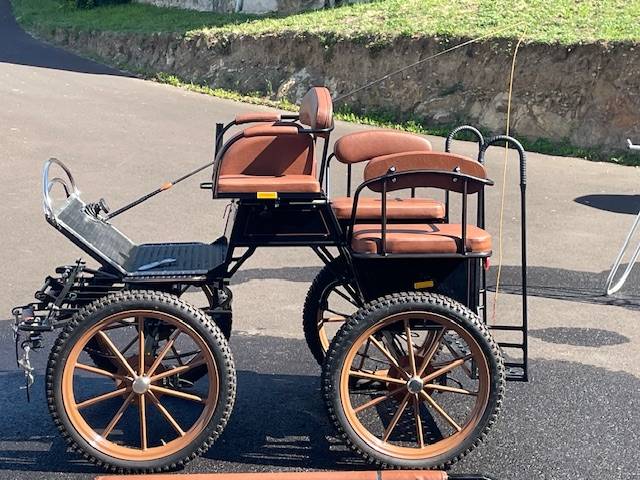 Carriage - Marathon for leisure Dominiak Training Poney 