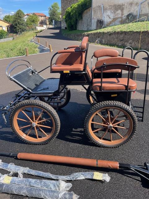 Carriage - Marathon for leisure Dominiak Training Poney 
