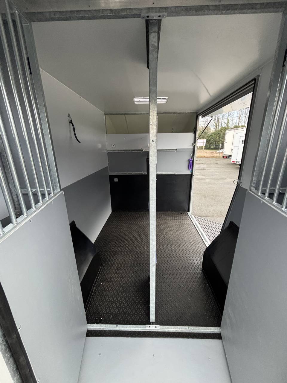 Horsebox HGV AP Petit Interstar L2  2026 New