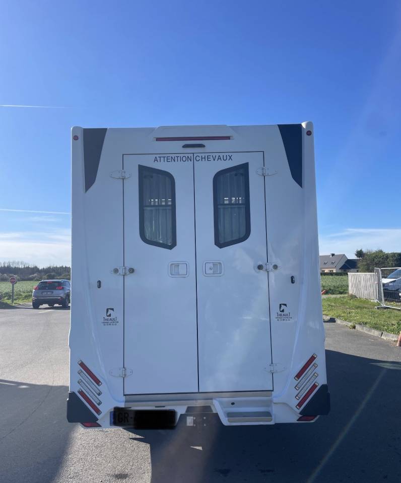 Horsebox HGV Renault master proteo switch stalles 2023 Used