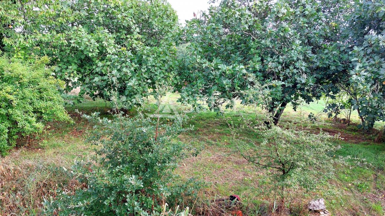Equestrian property  Dordogne