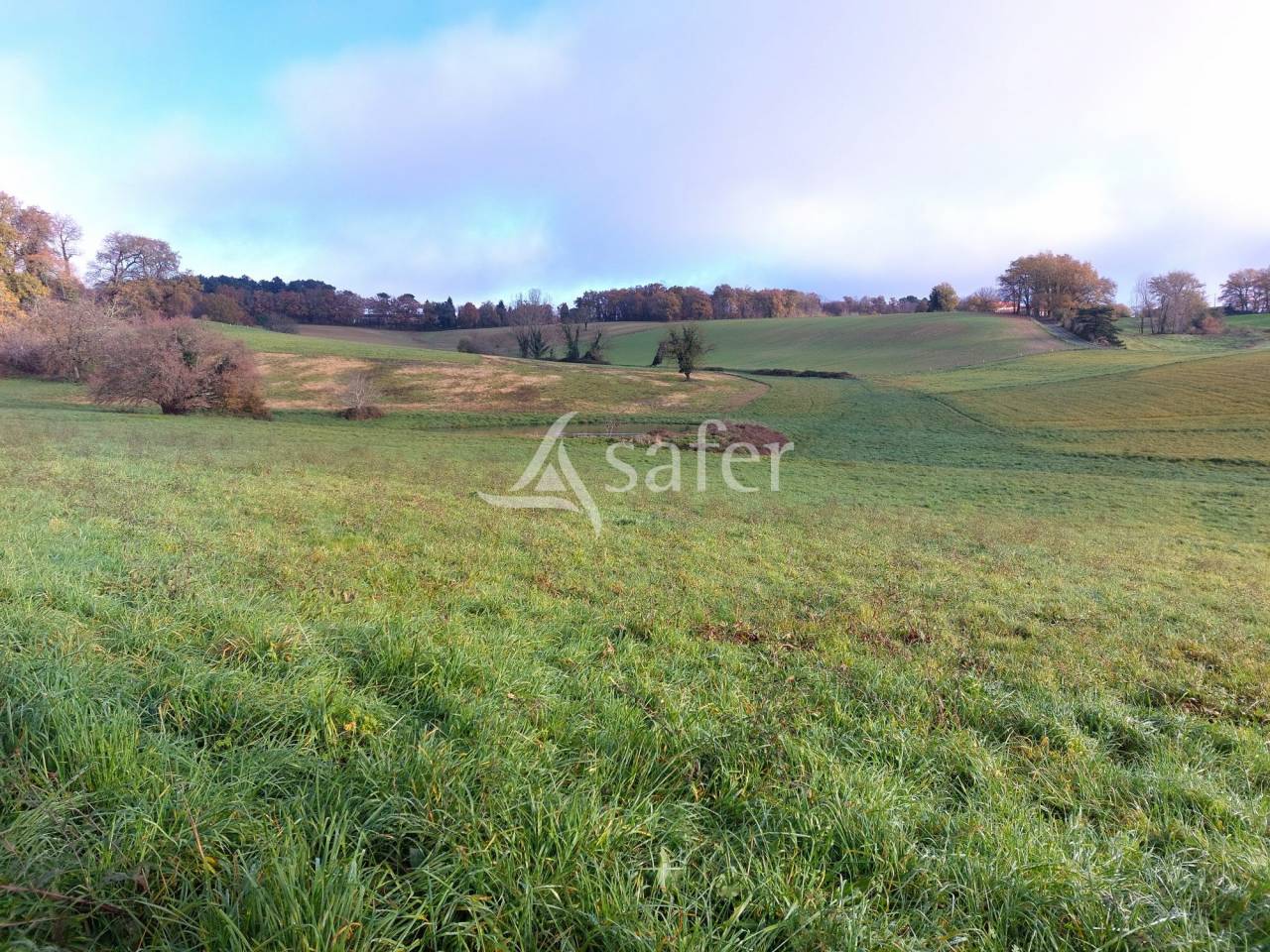 Equestrian property  Dordogne