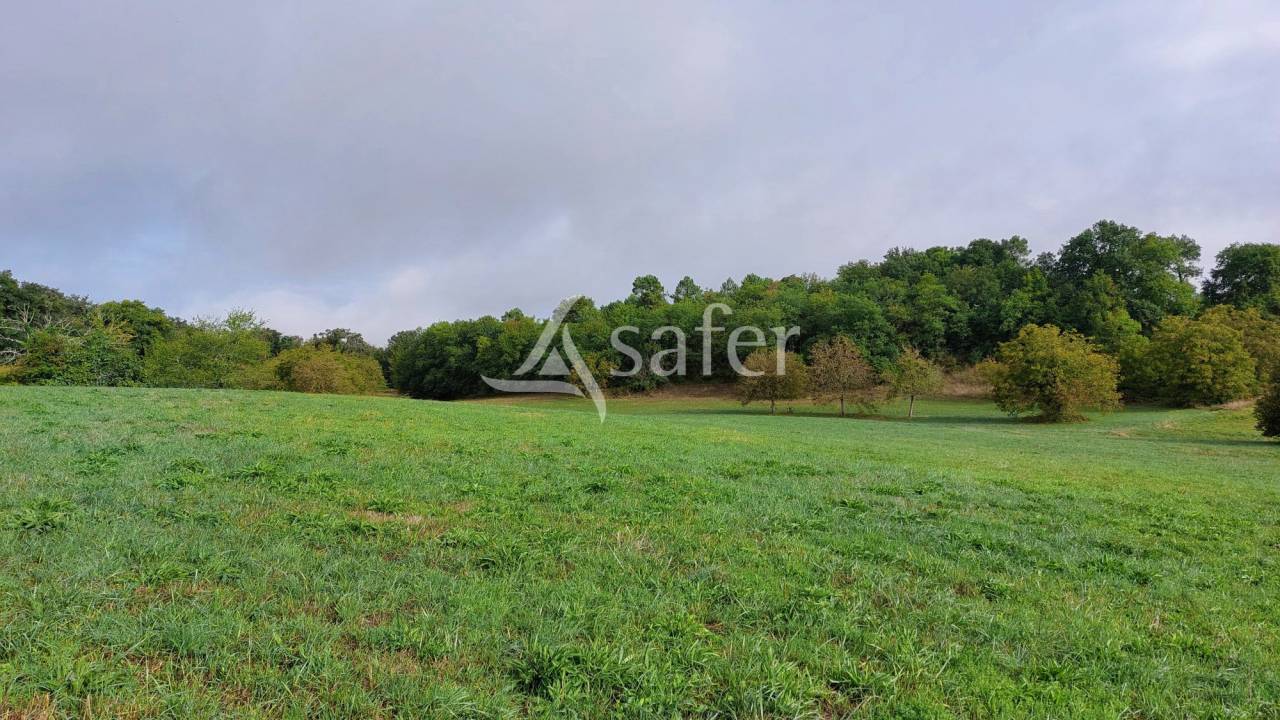 Equestrian property  Dordogne