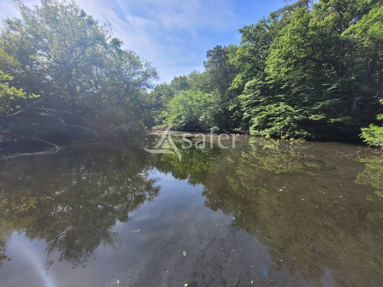 Other agricultural property  tarn