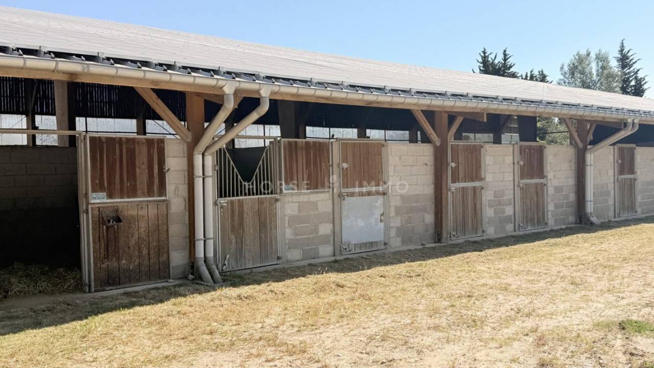 Equestrian property  Vaucluse