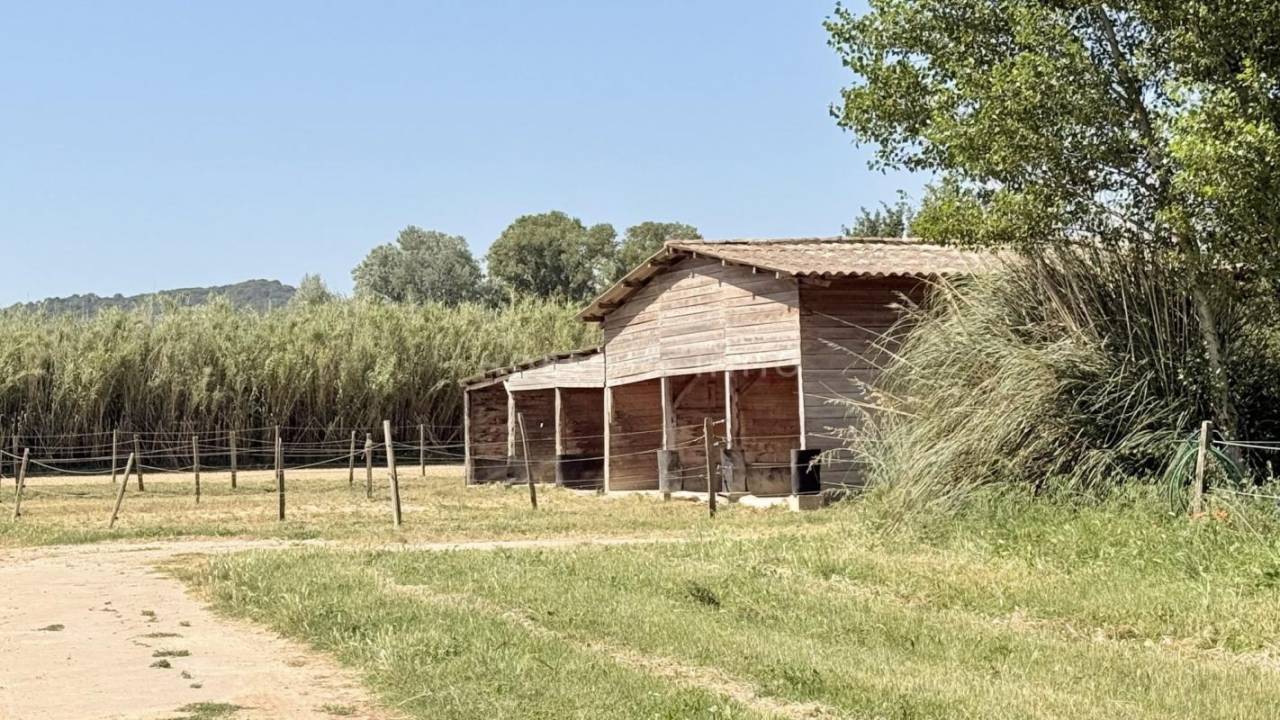 Equestrian property  Vaucluse