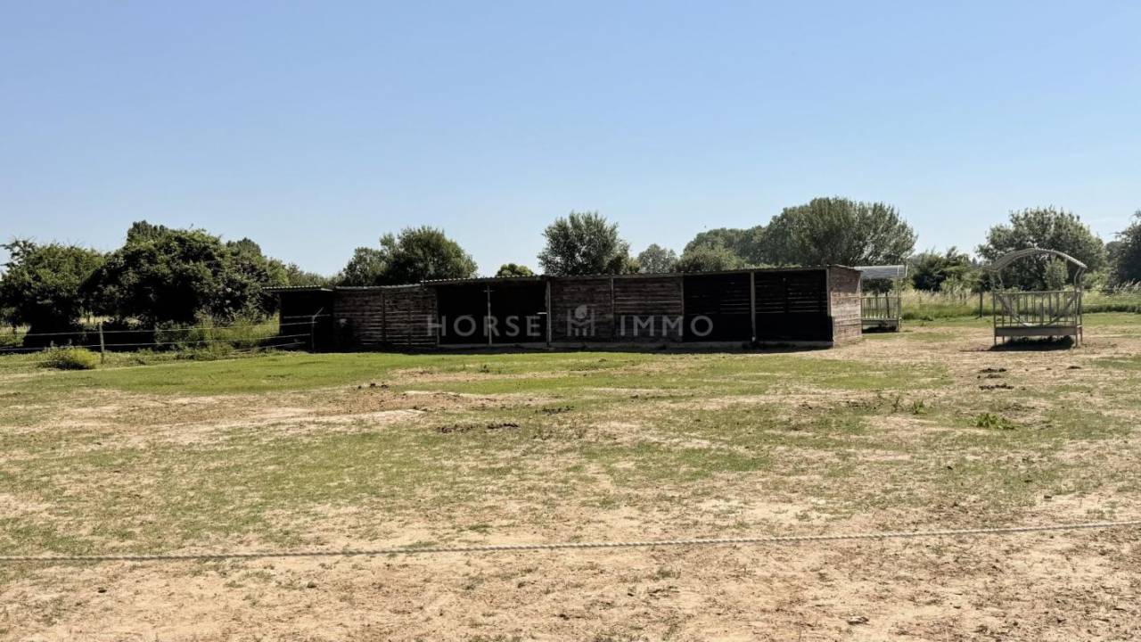 Equestrian property  Vaucluse