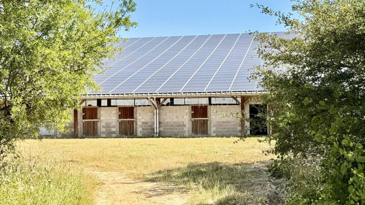 Equestrian property  Vaucluse
