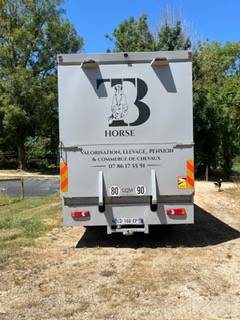 Horsebox NON-HGV Daf living 2008 Used