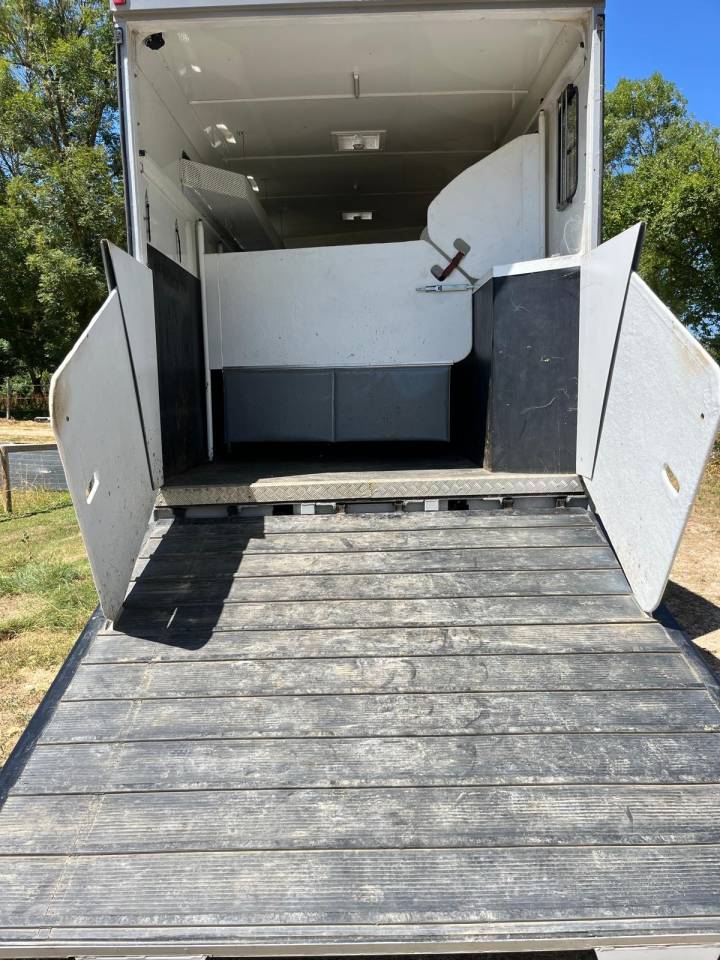 Horsebox NON-HGV Daf living 2008 Used