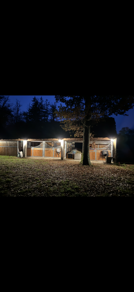 Luxurious equestrian property  Loiret