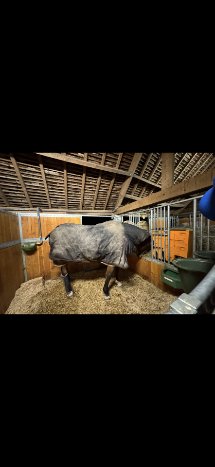 Luxurious equestrian property  Loiret