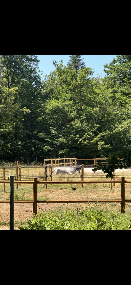 Luxurious equestrian property  Loiret