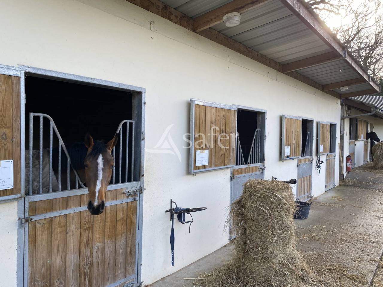 Equestrian property  Calvados