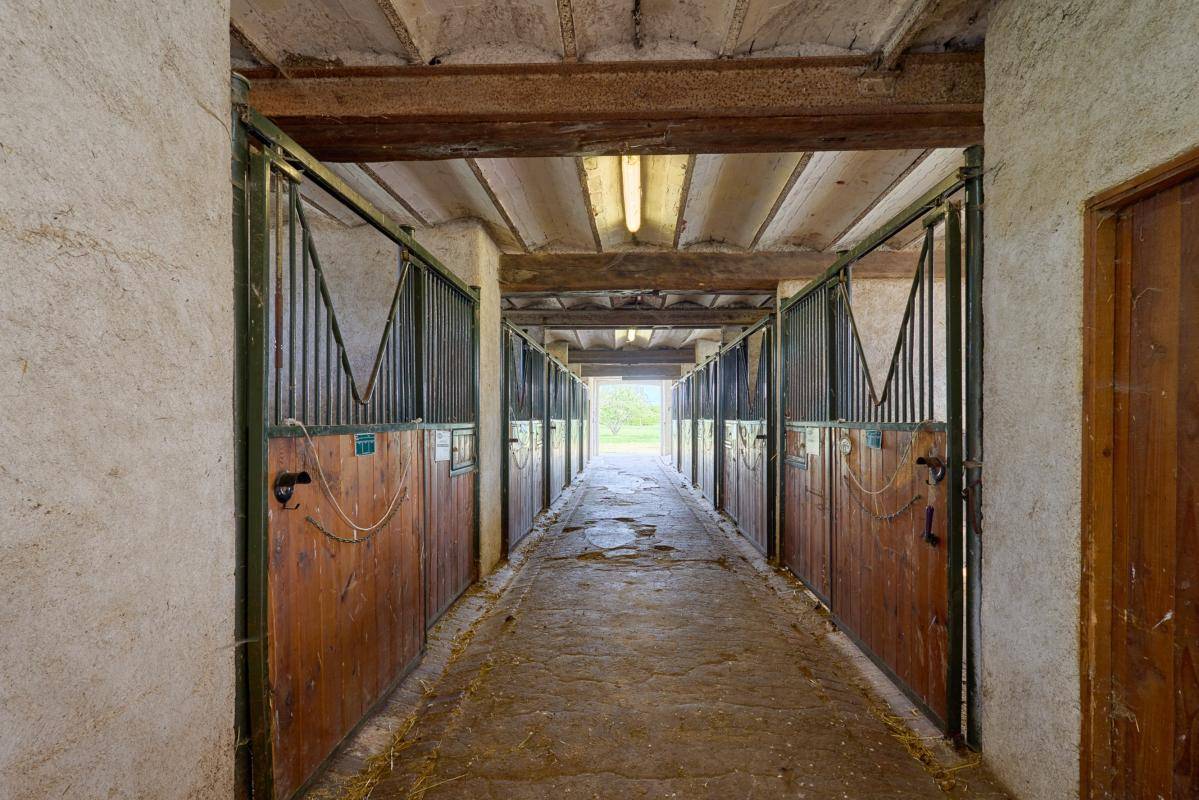 Equestrian property  Loiret