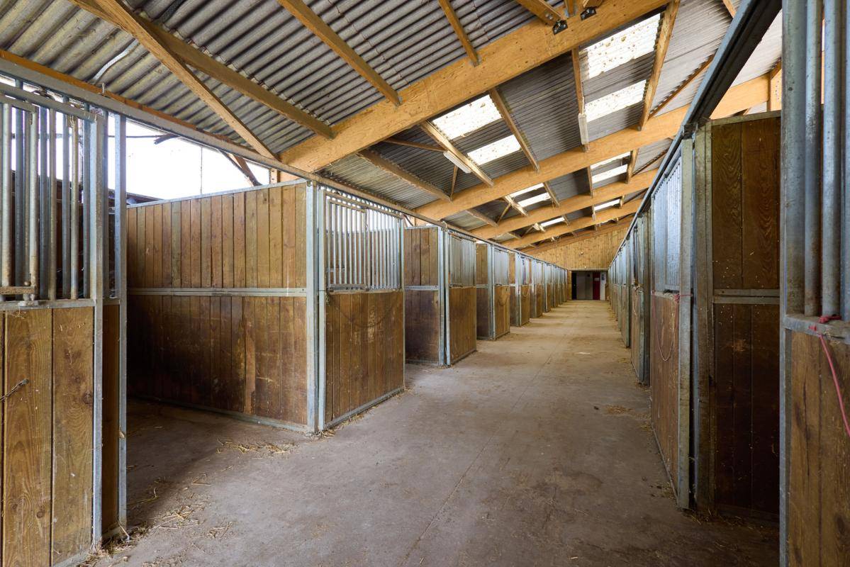 Equestrian property  Loiret