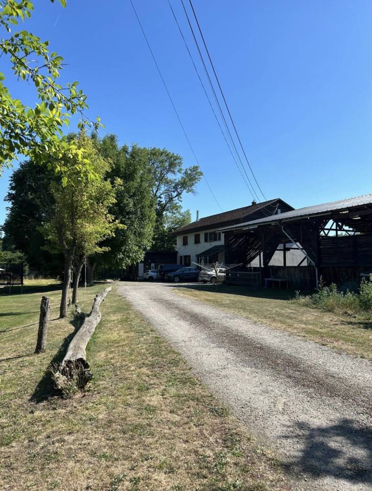 Luxurious equestrian property  Haut-Rhin