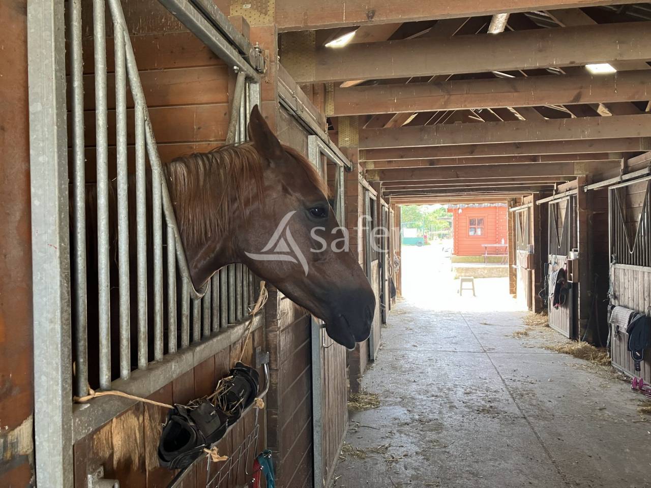 Equestrian property  Essonne