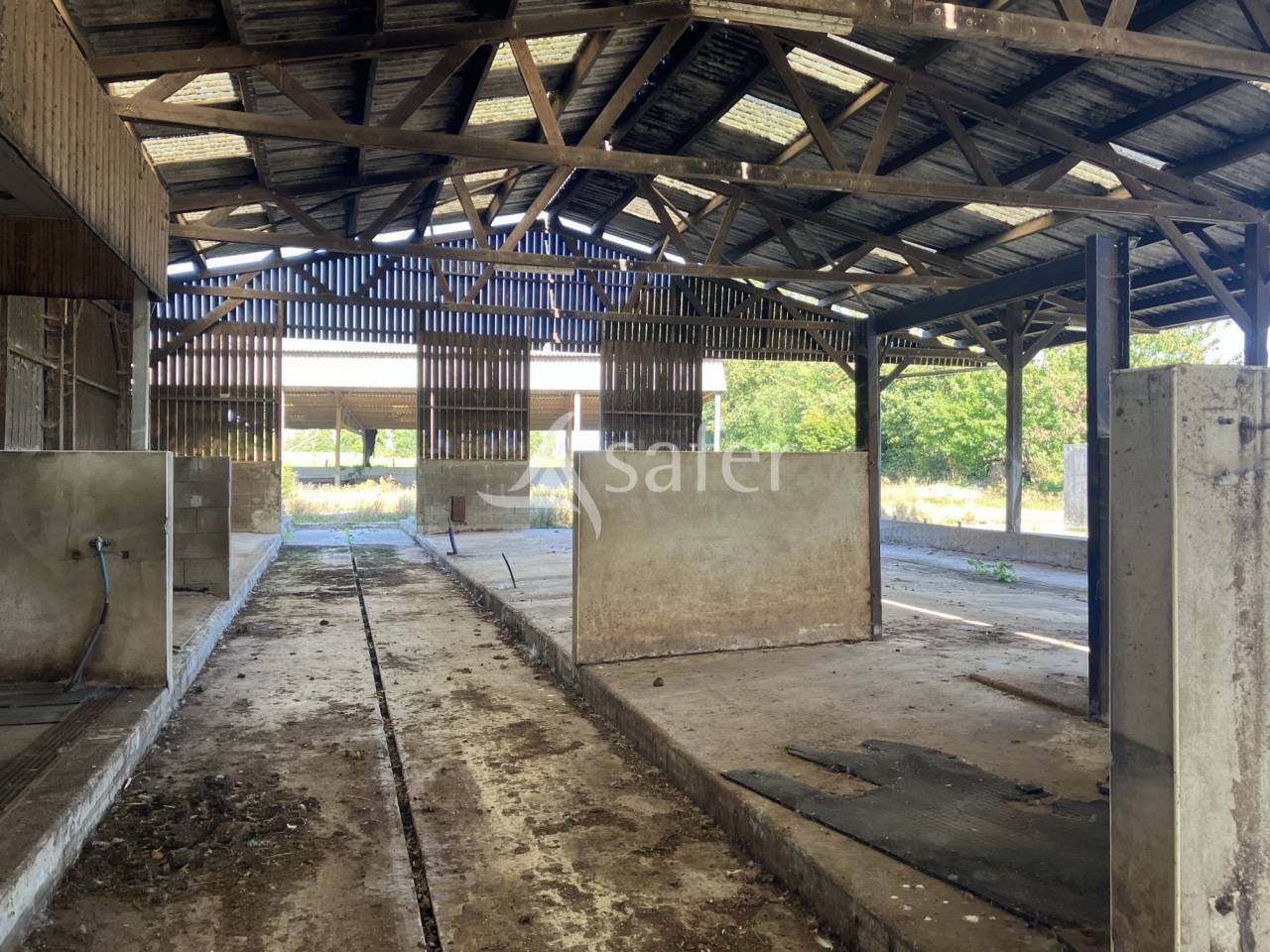 Poultry farm  Mayenne