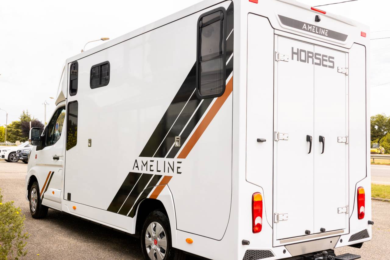 Horsebox HGV Renault  2026 New