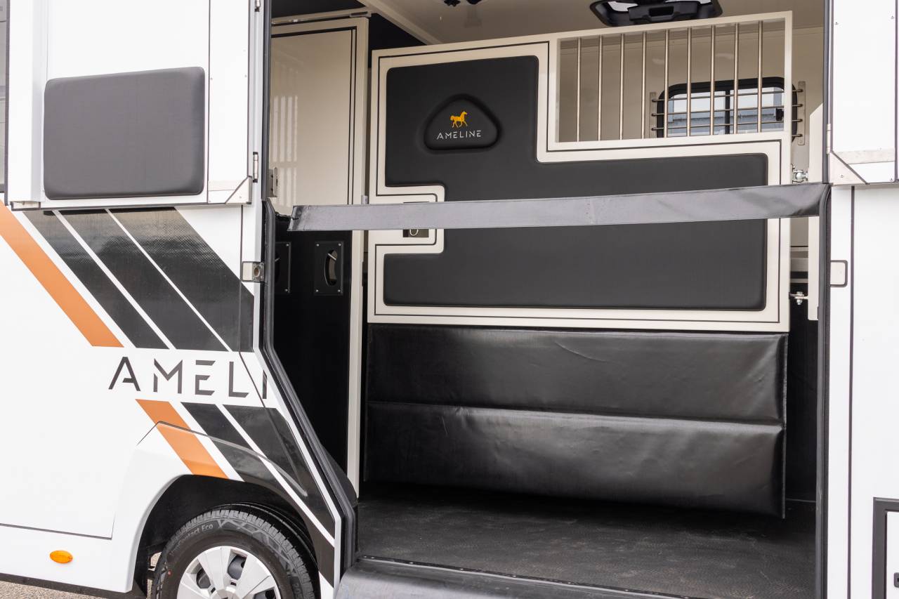 Horsebox HGV Renault  2026 New