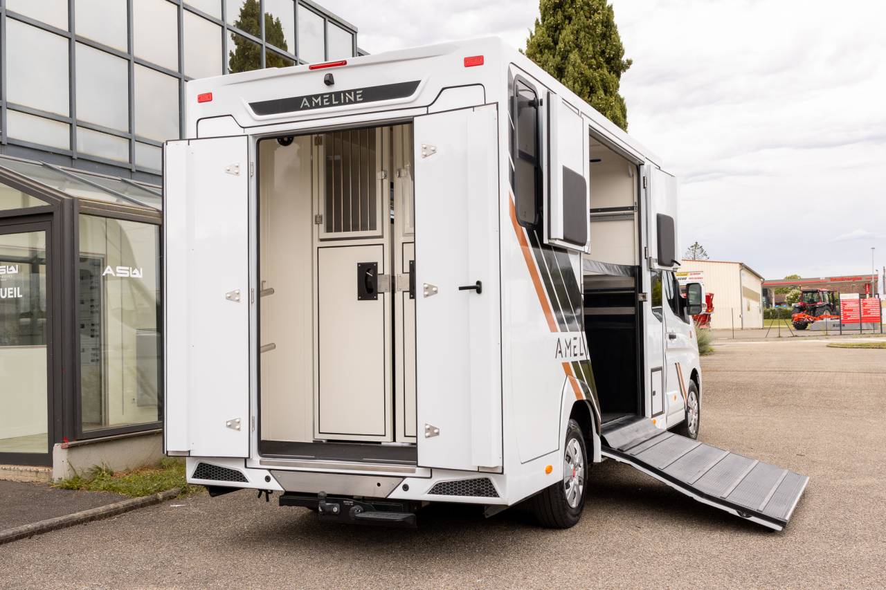 Horsebox HGV Renault  2026 New