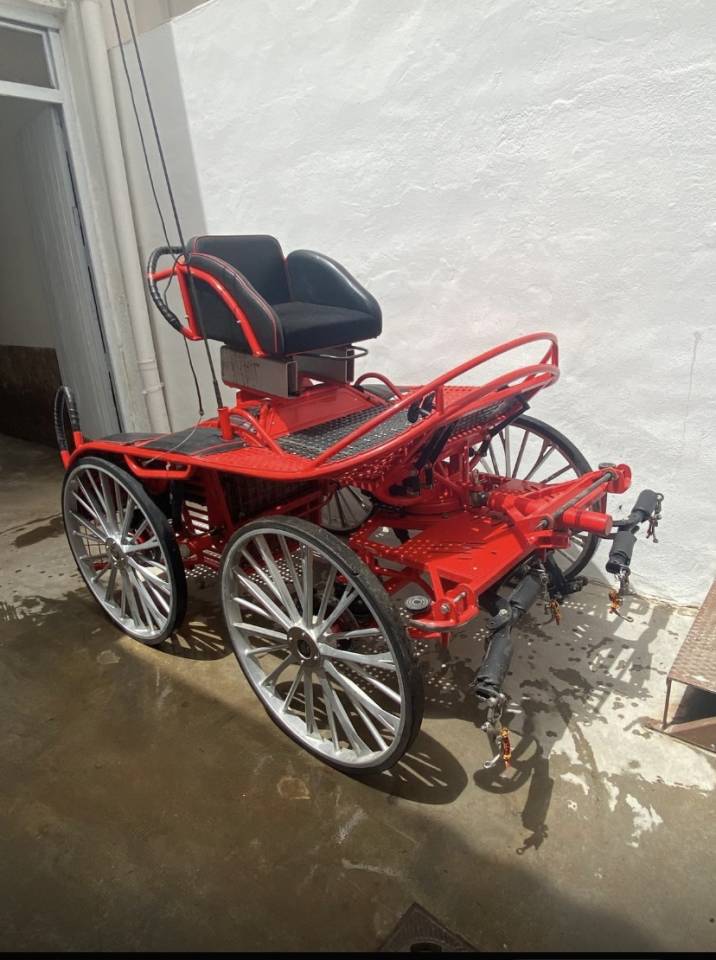 Carriage - Marathon for competition - Other brand - Kutzman ktz 350 
