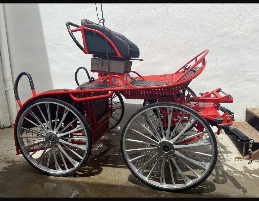 Carriage - Marathon for competition - Other brand - Kutzman ktz 350 