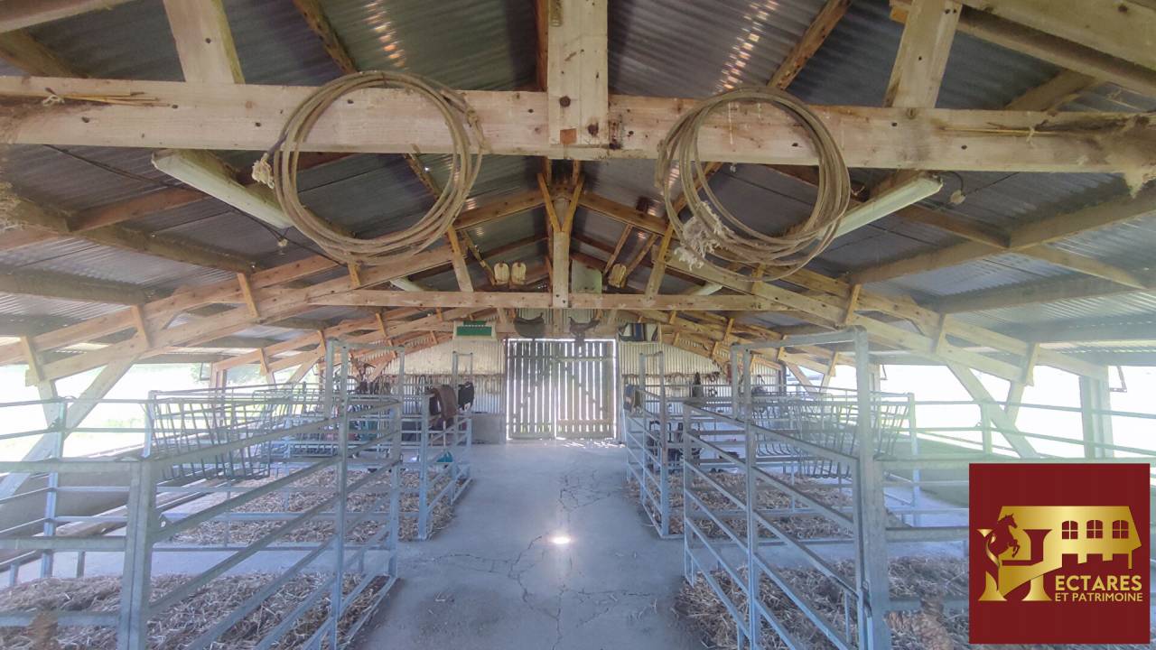 Equestrian property  Sa&ocirc;ne-et-Loire