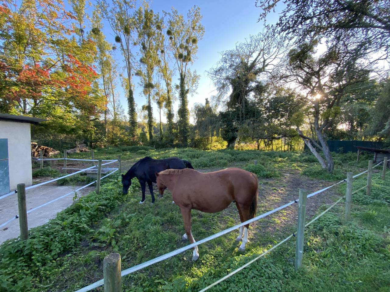 Luxurious equestrian property  Val-d'Oise