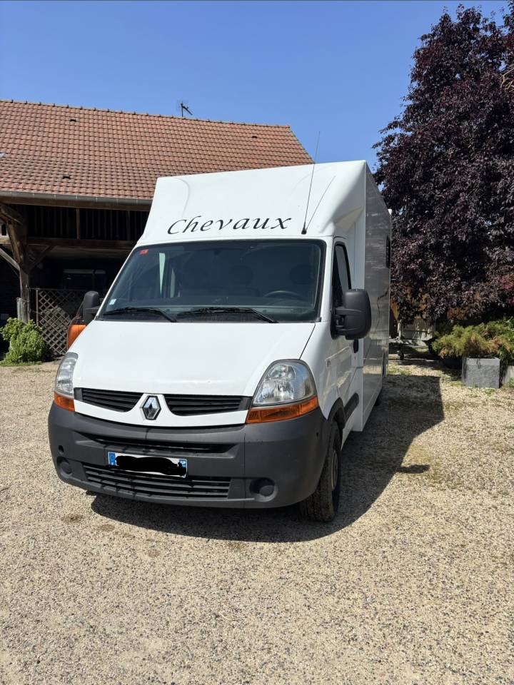 Horse trailer Renault Master 2 Stalls 2008 Used