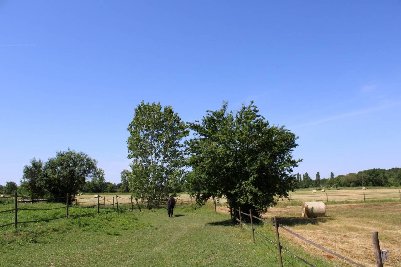 Equestrian property  Tarn-et-Taronne