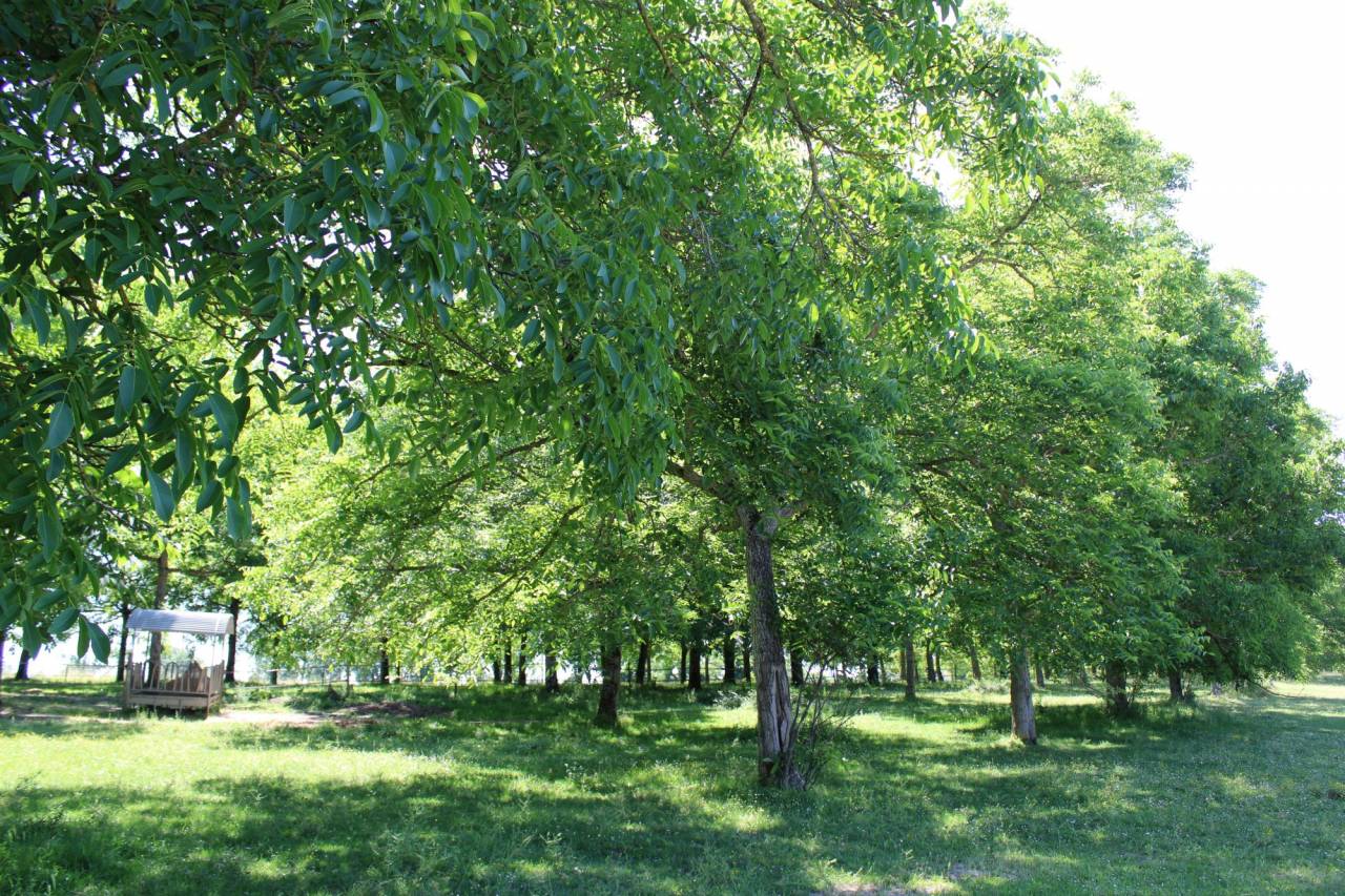Equestrian property  Tarn-et-Taronne
