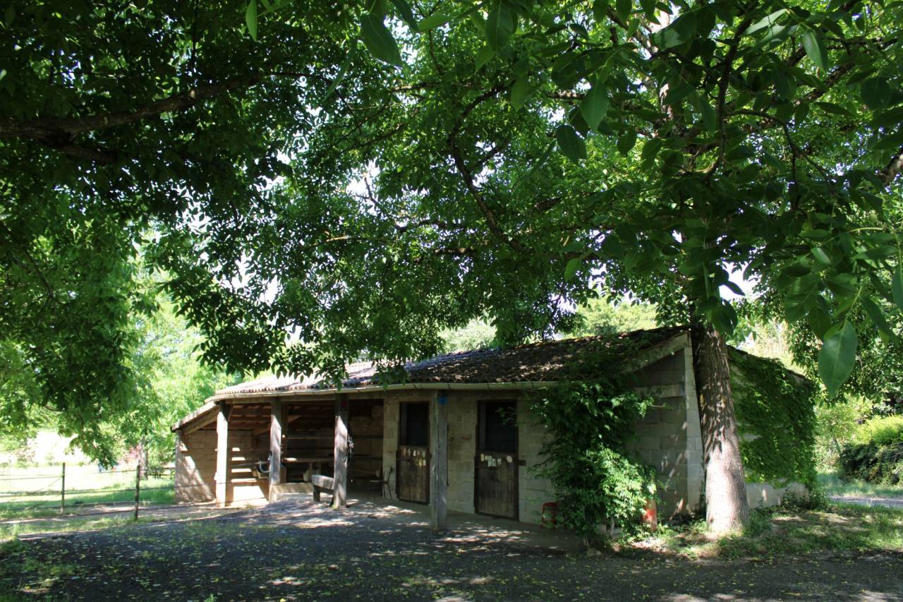 Equestrian property  Tarn-et-Taronne