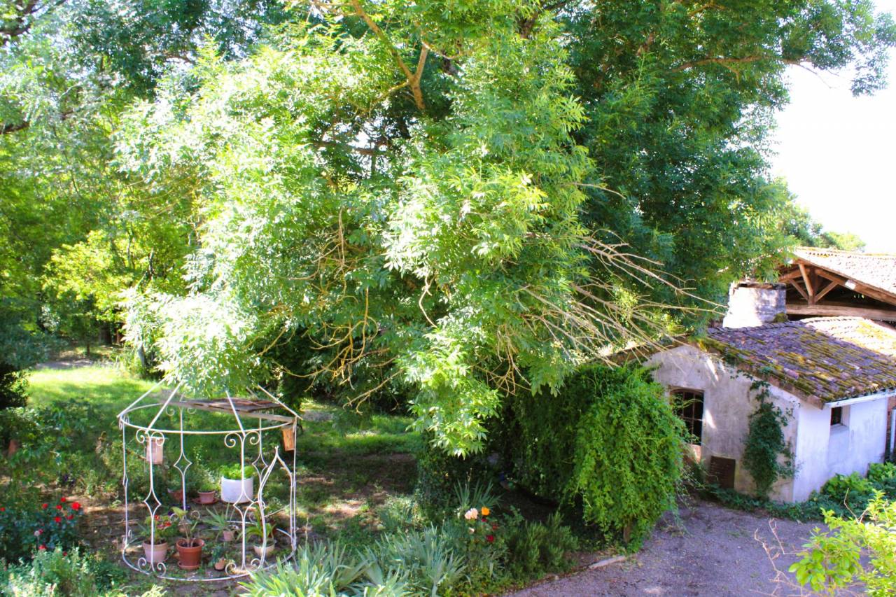 Equestrian property  Tarn-et-Taronne
