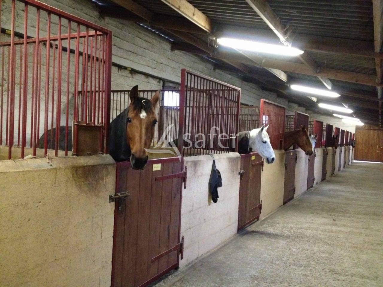 Equestrian property  Essonne