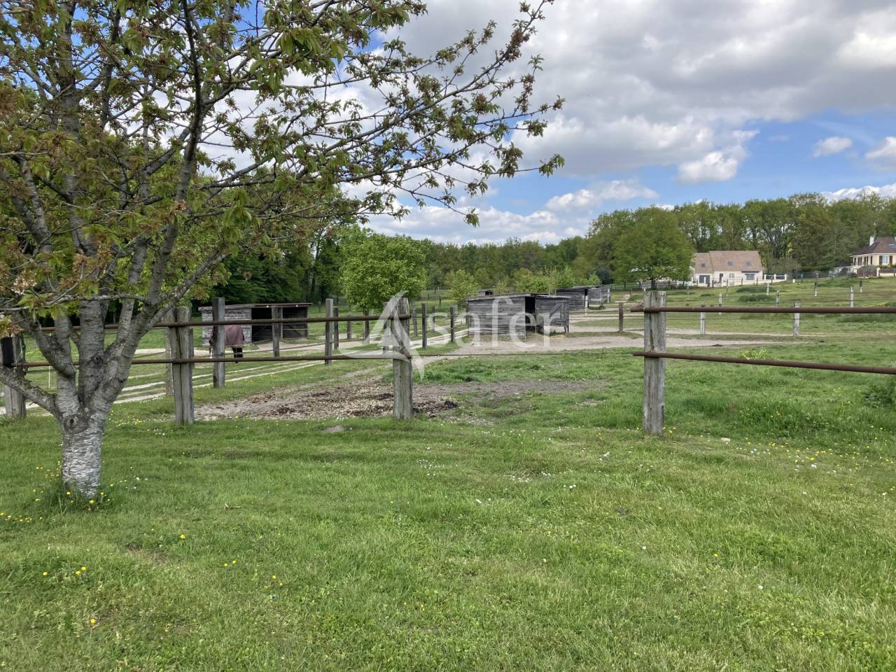 Equestrian property  Essonne