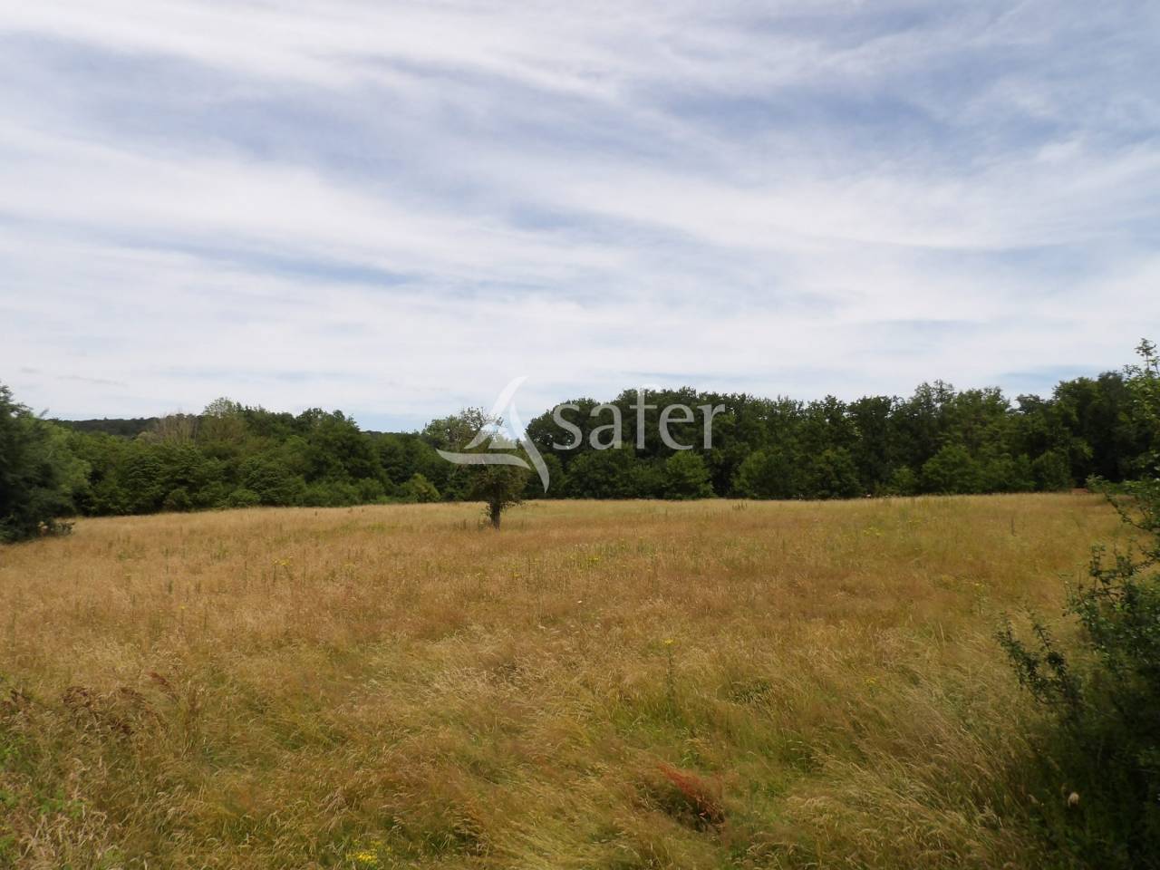 Equestrian property  Essonne